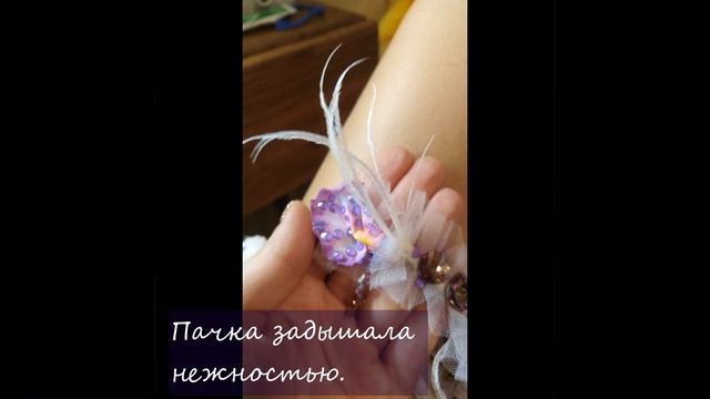 Балетная пачка Анны Штейман Новая жизнь смотреть онлайн