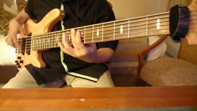 Lady Gaga - Born This Way (Bass Cover) смотреть онлайн