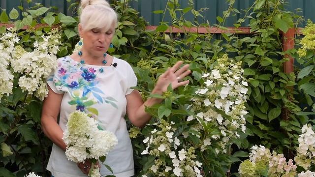 "ГРАНДИФЛОРА" смотреть онлайн