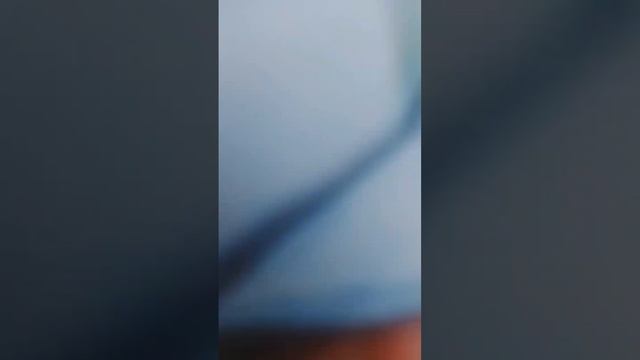 •Брошь перо из бисера ручной работы #подарок #брошки #брошьизбисера #брошьручнойработы смотреть онлайн