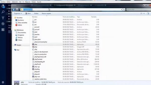 solucion visual studio code php validate executablePath