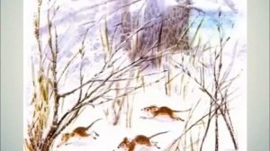 Сказочная карусель для малышей. "Кошка Маруська" Е. Чарушин