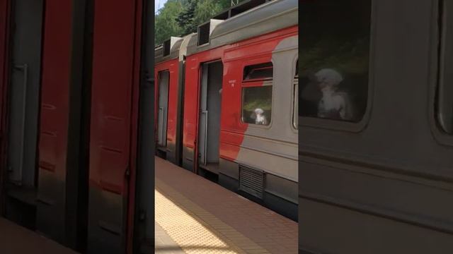 Электричка эд4м на станции ивантеевка 2 смотреть онлайн