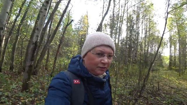 За грибами в лес 30 окт. 2022. Пермь. смотреть онлайн