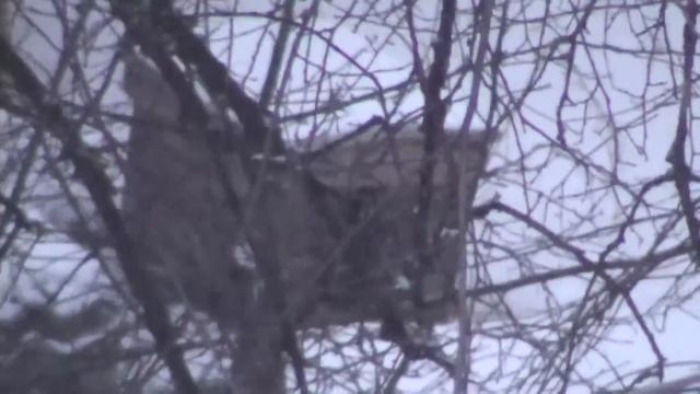 5 февраля 17г. Зима однако... смотреть онлайн