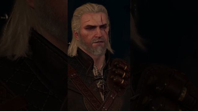 Зимородок Ведьмак 3 Дикая Охота Next Gen смотреть онлайн