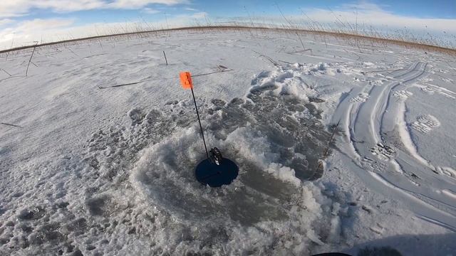 ПОЙМАЛИ ЩУКУ, А В НЕЙ ... ! СУПЕР КЛЕВ ЩУКИ НА ЖЕРЛИЦЫ. РЫБАЛКА НА ЩУКУ В ТРАВЕ. смотреть онлайн