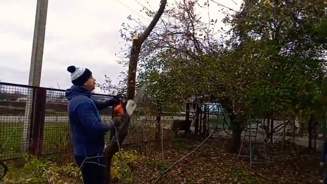 ОЧИСТКА САДА ОТ НЕПЛОДОНОСНЫХ ДЕРЕВЬЕВ ? БЕНЗОПИЛОЙ ?? смотреть онлайн