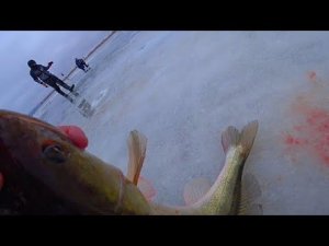 ВСЕ СБЕЖАЛИСЬ! ПОЙМАЛ РЫБУ СВОЕЙ МЕЧТЫ! ЭТОТ ВИБ СПАС РЫБАЛКУ! ЗИМНЯЯ РЫБАЛКА НА СУДАКА