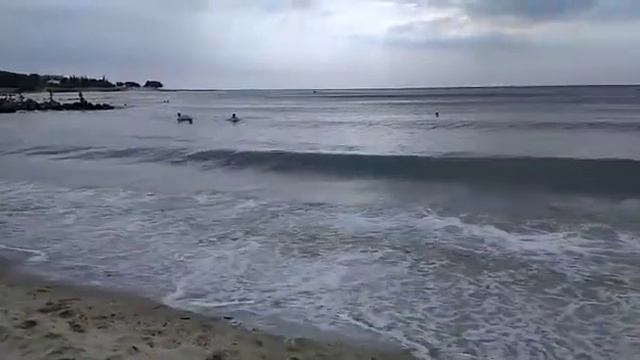 Чёрное море. Солнечный берег смотреть онлайн