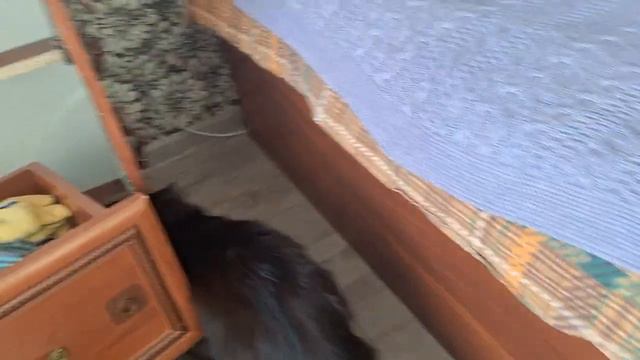 наш переезд смотреть онлайн