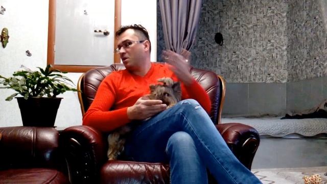 Орхидеи в доме/Где поставить орхидею/Фаленопсис (5) смотреть онлайн