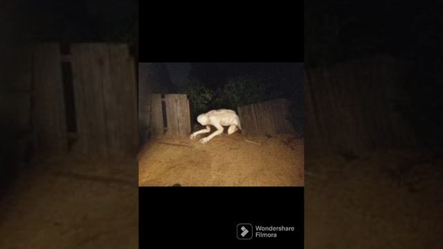 unnerving images with minecraft cave sounds low pitch part 3 смотреть онлайн