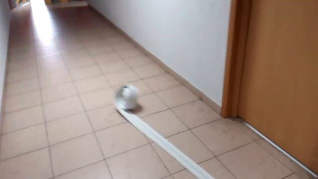 Использования пожарных кранов смотреть онлайн