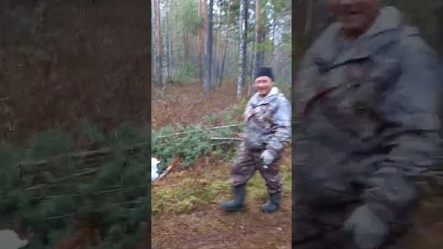 Экстрим поездкой за шишкой 19 10 21 смотреть онлайн