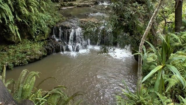 Природный парк La Vallee des Couleurs. Маврикий смотреть онлайн