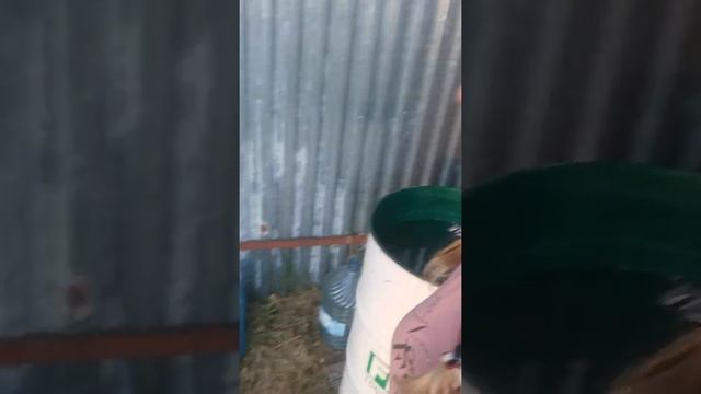 Своими руками всё...Дорога, дом, скамейка, беседка, из поддонов, и цемент смотреть онлайн