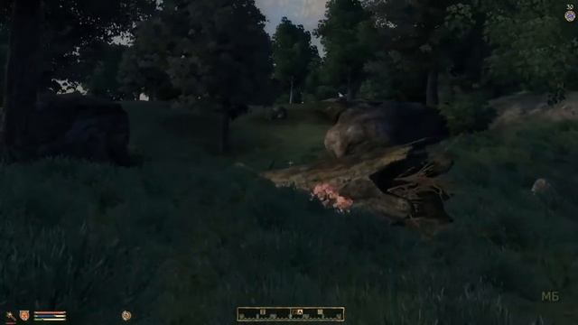 Прохождение TES 4: Oblivion. Максимальная сложность.#5: Кольцо тяжёлой ноши.