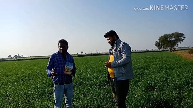 Dayal Kanak Sona DW-4 Ka Results on Field смотреть онлайн