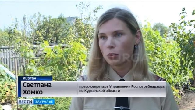 Заготовки без ботулизма смотреть онлайн