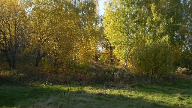 Село КИМ Башкортостан природа смотреть онлайн