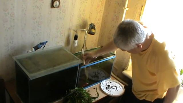 Мужик чистит стеклоочистителем стёкла аквариума — Геннадий Горин смотреть онлайн