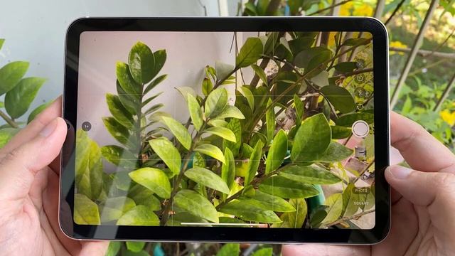 مقارنة بين Apple iPad 9 و iPad Mini 6 смотреть онлайн