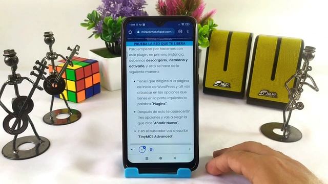 Cómo Descargar, Instalar y Configurar el Plugin 'TinyMCE' para Editar Textos en WordPress смотреть онлайн