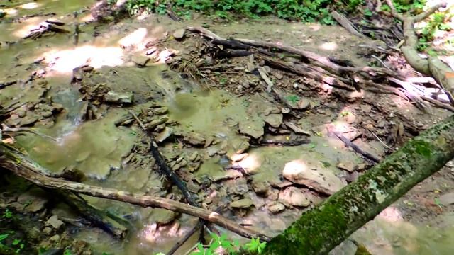 Ставрополье. Мамайская лесная дача. смотреть онлайн