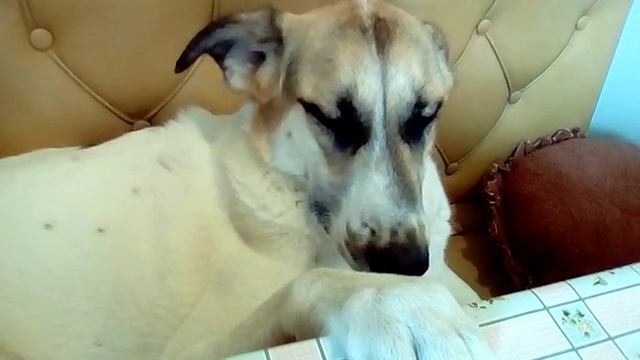 Колыбельная для Миры ))) смотреть онлайн