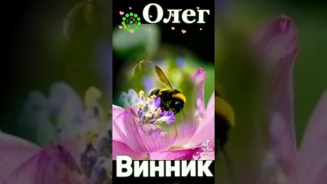 музыка для души ?