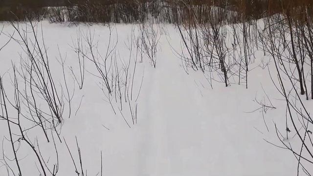Поход на охотничьих лыжах (часть 3) смотреть онлайн