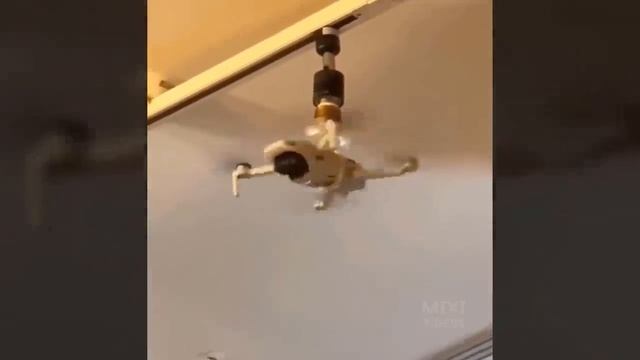 Феерические идиоты за работой. Сборник приколов 2022. Ep173 смотреть онлайн