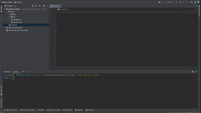 Class 5 - Understanding Python Basics (Part 1) смотреть онлайн