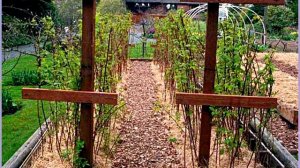 30 идей обустройства малинника