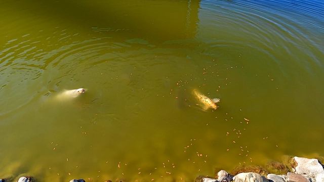 супер водоём