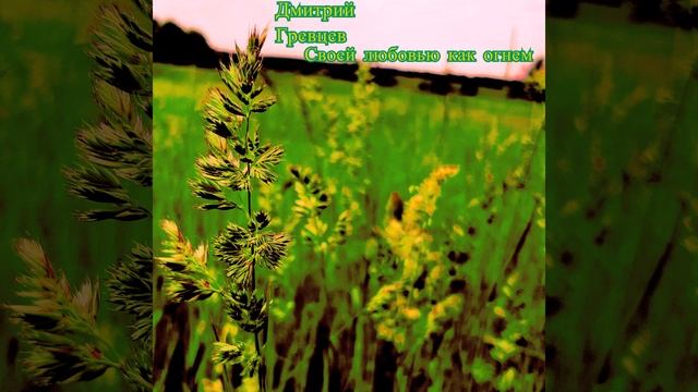 Дмитрий Гревцев - Своей любовью как огнем смотреть онлайн