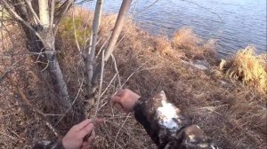 Калмыцкий узел, узел эвенков оленеводов, как завязывать обучение от первого лица