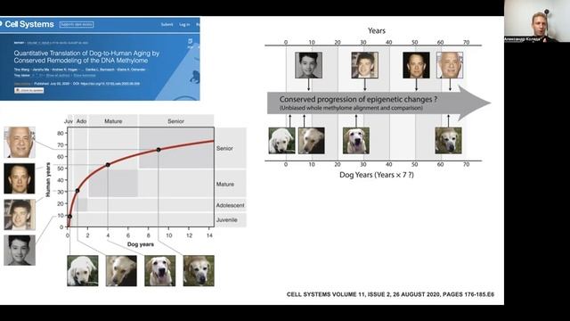 Александр Коляда: Биомаркеры Старения смотреть онлайн
