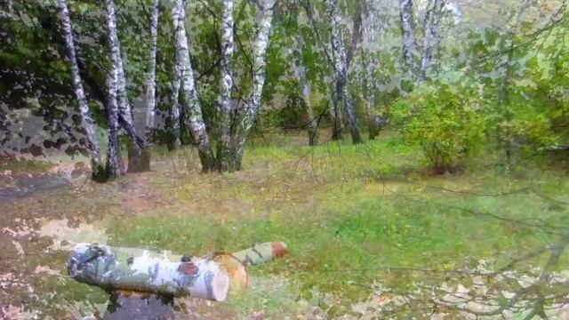 Верхний Кузьминский пруд. смотреть онлайн