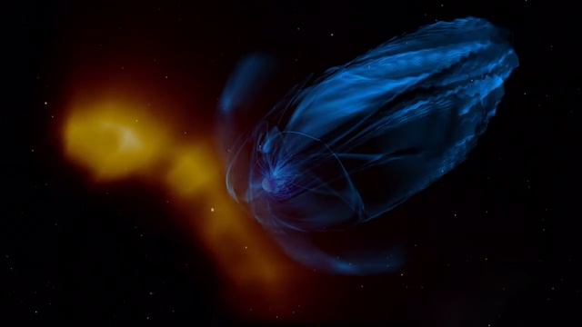 Звёздный парадокс: ключ к жизни на Земле смотреть онлайн