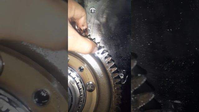 اشان ديستريبيسو dxi 11 смотреть онлайн