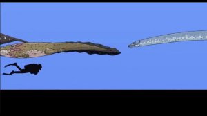 Сравнение размеров человека и доисторических животных