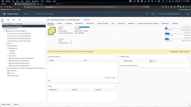 Sterling - Automated Application Scalability with Tanzu Kubernetes Grid смотреть онлайн