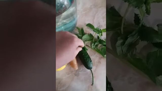 Арықтауға арналған сусын