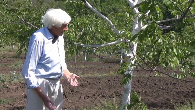 Климатический коллапс лета 2019 весны 2020 и как он отразился на орехе Часть II Май 2020 смотреть онлайн