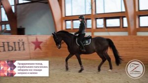 Работа с поводом от основ до сбора лошади