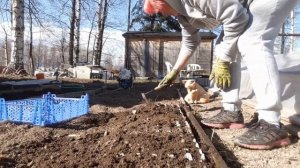 ВСЯ ПРАВДА О ПОСЕВЕ В ЯИЧНЫЕ ЛОТКИ,ответы на вопросы