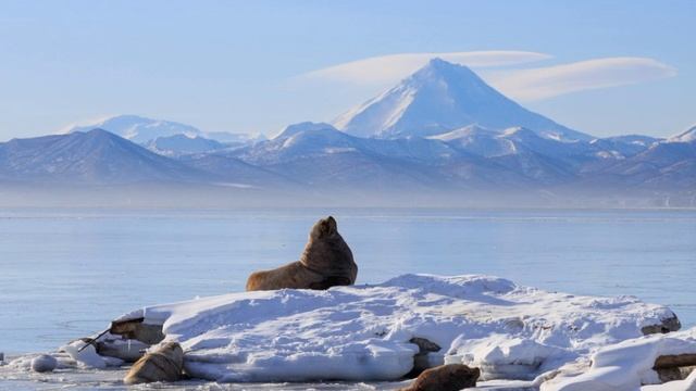 Тепло и уют. Марина М.💙