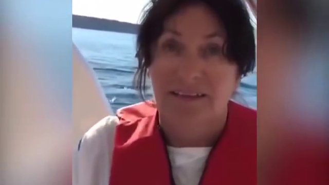 Касатки против морского Льва смотреть онлайн